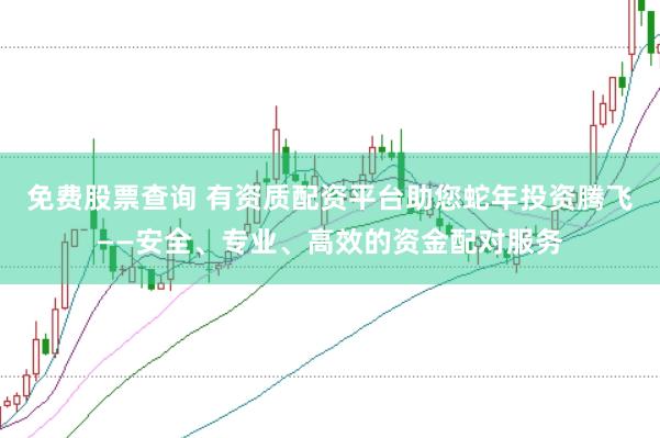 免费股票查询 有资质配资平台助您蛇年投资腾飞——安全、专业、高效的资金配对服务