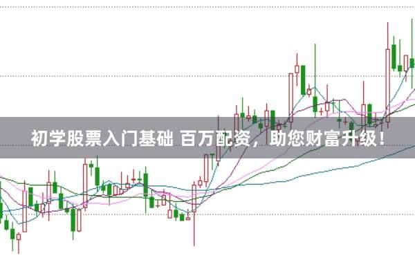 初学股票入门基础 百万配资，助您财富升级！