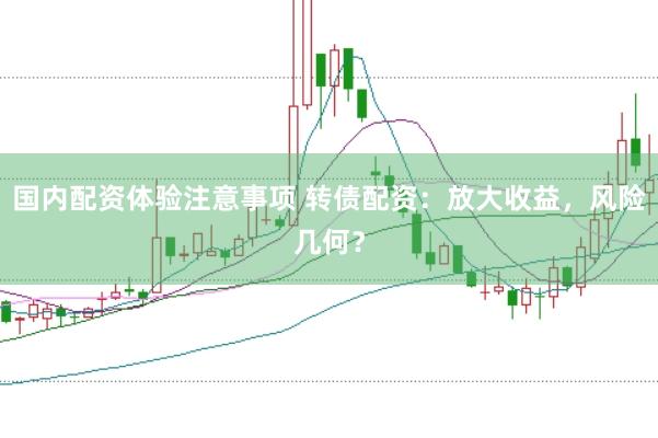 国内配资体验注意事项 转债配资：放大收益，风险几何？