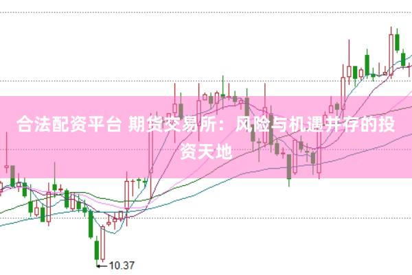 合法配资平台 期货交易所：风险与机遇并存的投资天地