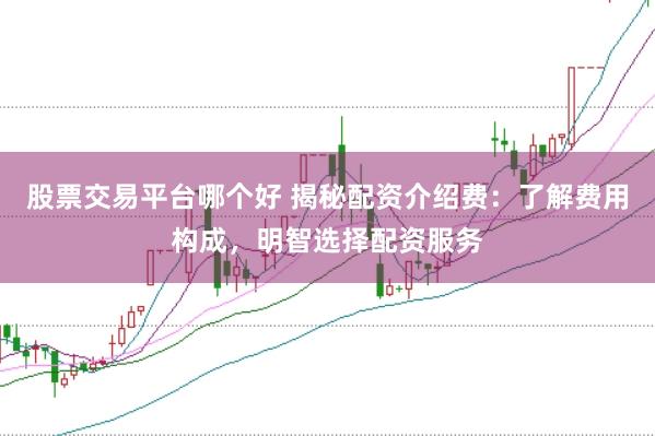 股票交易平台哪个好 揭秘配资介绍费：了解费用构成，明智选择配资服务
