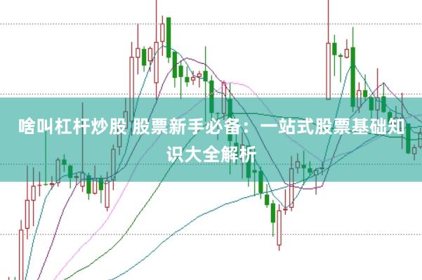啥叫杠杆炒股 股票新手必备：一站式股票基础知识大全解析