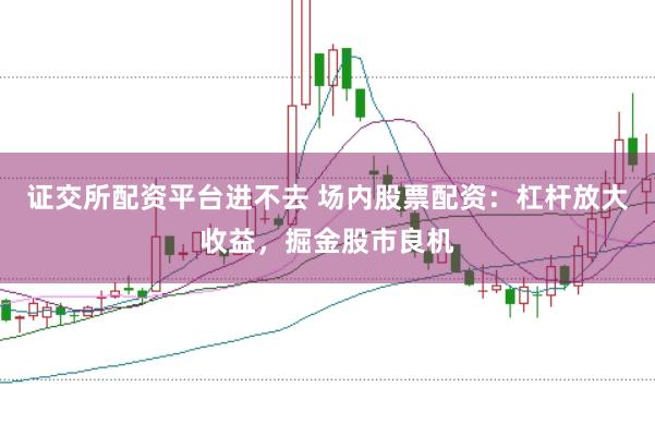 证交所配资平台进不去 场内股票配资：杠杆放大收益，掘金股市良机