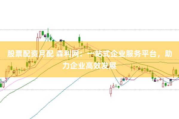 股票配资月配 森利网：一站式企业服务平台，助力企业高效发展