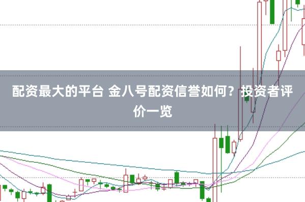 配资最大的平台 金八号配资信誉如何？投资者评价一览