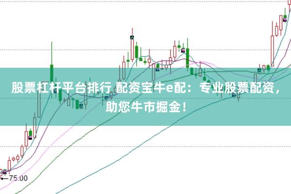 股票杠杆平台排行 配资宝牛e配：专业股票配资，助您牛市掘金！