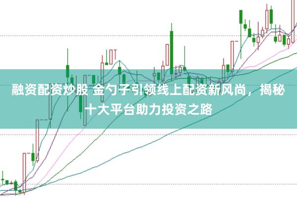 融资配资炒股 金勺子引领线上配资新风尚，揭秘十大平台助力投资之路